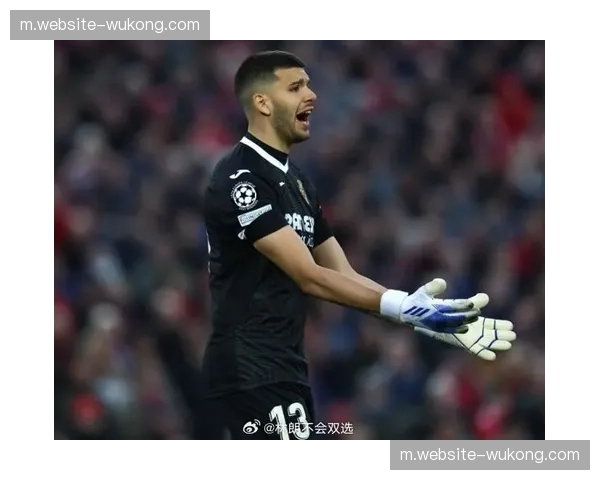 阿根廷门将位置悬念最小 马丁内斯鲁利构成双保险